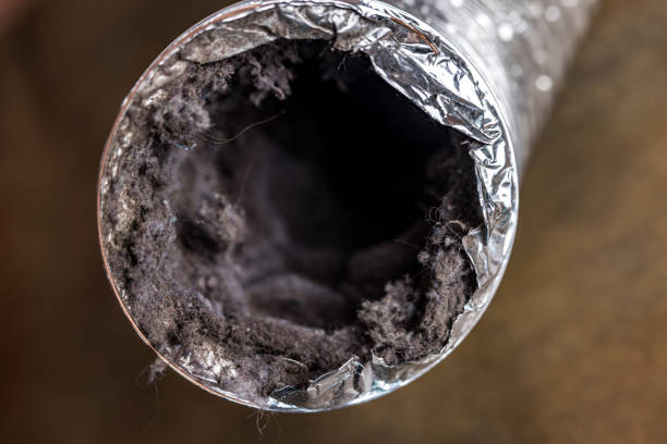 Best Air Duct Mold Removal  in New Glarus, WI